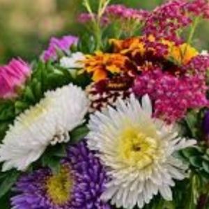 Meet your Posher, Mary